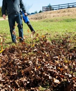 Kobalt Cordless Electric Leaf Blowers 80-volt Max 630-CFM Brushless Handheld Cordless Electric Leaf Blower 2.5 Ah (Battery & Charger Included) 15 Kobalt Cordless Electric Leaf Blowers 80-volt Max 630-CFM Brushless Handheld Cordless Electric Leaf Blower 2.5 Ah (Battery & Charger Included) -Household Tools Shop 41718125