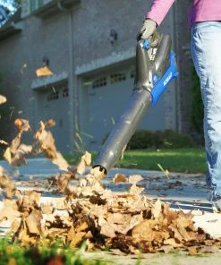 Kobalt Power Equipment Combo Kits 2-Piece 40-Volt Max Cordless Power Equipment Combo Kit -Household Tools Shop 841821062316 12094373